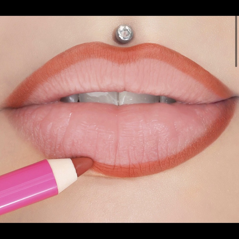 Velour Lip Liner in Allegedly